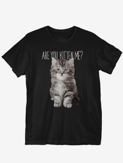 are you kitten me shirt